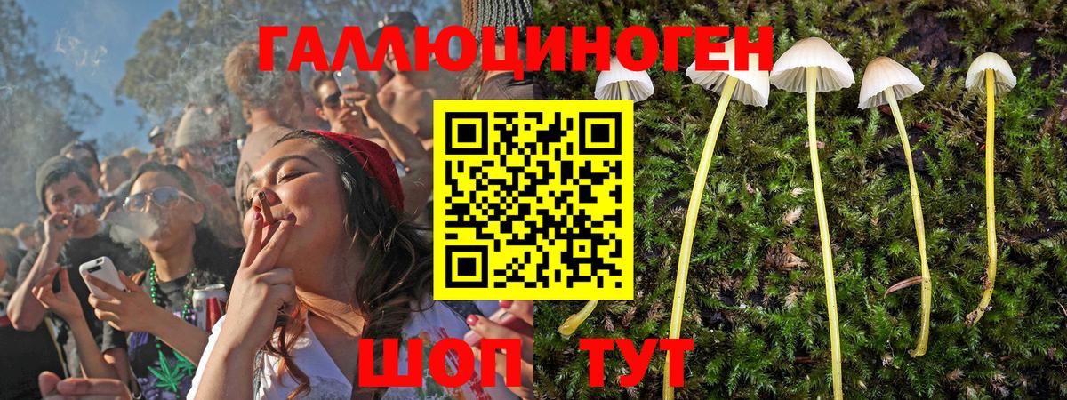 Галлюциногенные грибы Cubensis Тайшет