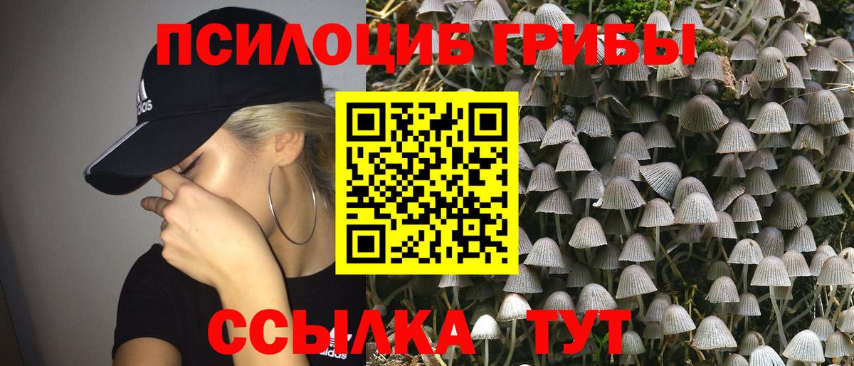 КОКАИН Тайшет