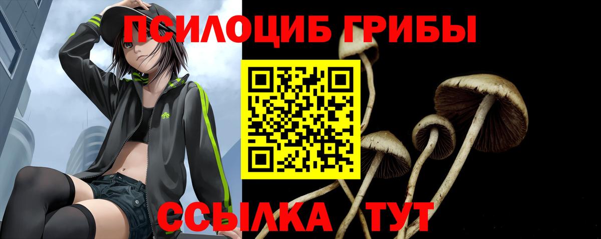 наркотики  Галлюциногенные грибы Psilocybe  Вход с VPN  Псилоцибиновые грибы Magic Shrooms  Тайшет 